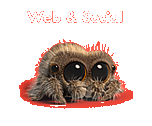 Web & Social : Description